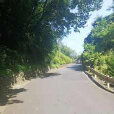 komofのLINEやメールマガジンは、こんな感じのお知らせも。他にもブログには載せない特別な情報をお届けしていますよ。