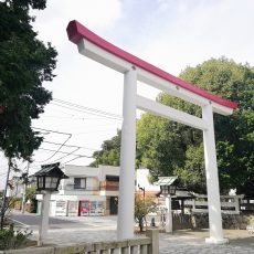 ハイキングコースで鎌倉宮へ