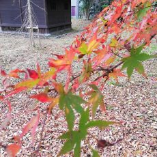 作ることと生地選び